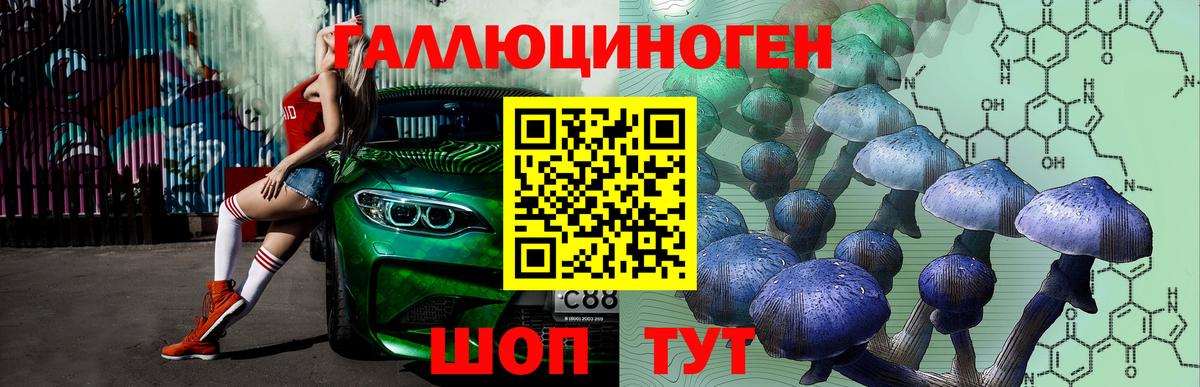 Псилоцибиновые грибы прущие грибы  Вход с VPN  Заводоуковск  Псилоцибиновые грибы ЛСД 