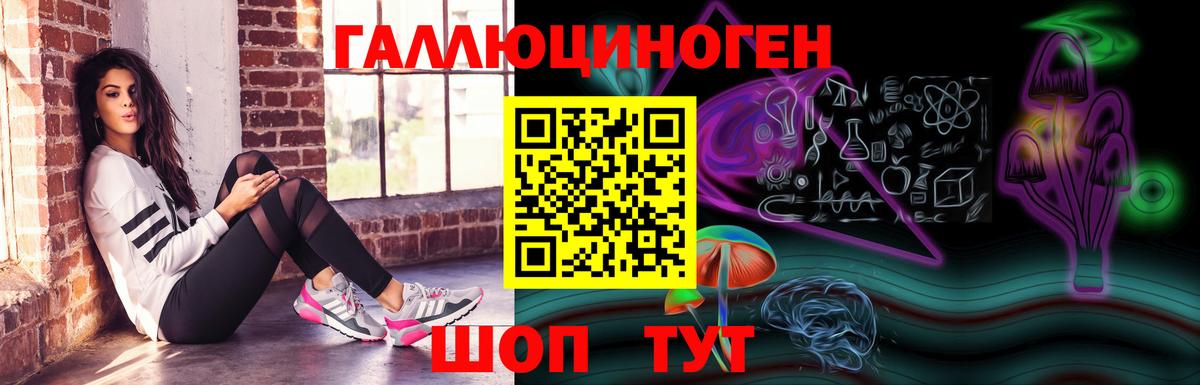 Псилоцибиновые грибы ЛСД Заводоуковск